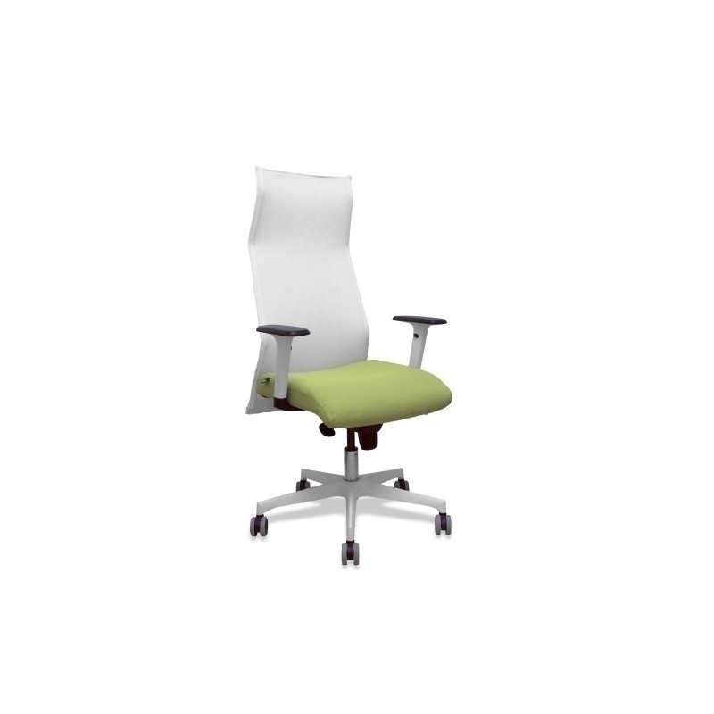 13SM10B552B354BR65G-SILLON PIQUERAS SAHUCO DIREC. B.VERDE OL precio por 1 unidades