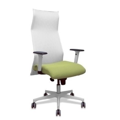 13SM10B552B354BR65G-SILLON PIQUERAS SAHUCO DIREC. B.VERDE OL precio por 1 unidades