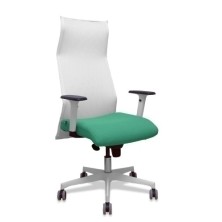 13SM10B456B354BR65G-SILLON...