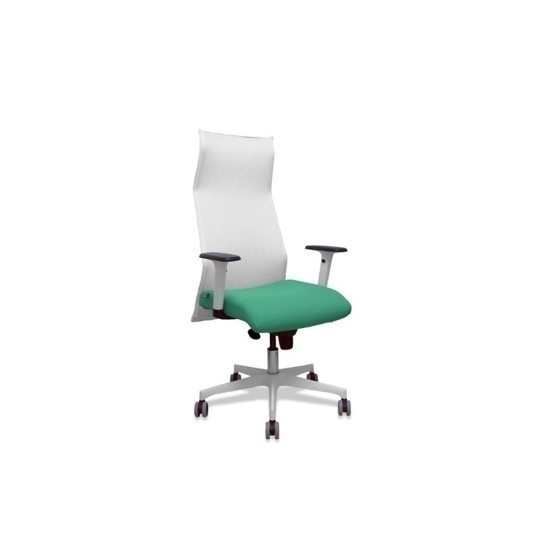 13SM10B456B354BR65G-SILLON PIQUERAS SAHUCO DIREC. B.VD ESMER precio por 1 unidades