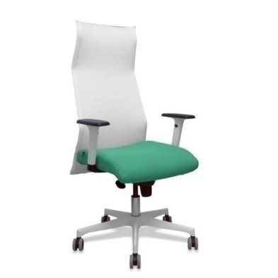 13SM10B456B354BR65G-SILLON PIQUERAS SAHUCO DIREC. B.VD ESMER precio por 1 unidades