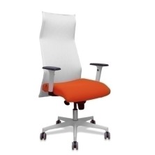 13SM10B305B354BR65G-SILLON...