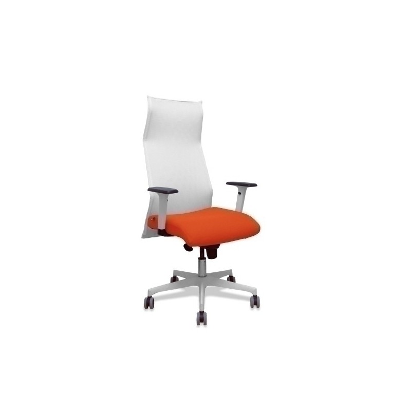 13SM10B305B354BR65G-SILLON PIQUERAS SAHUCO DIREC. B.NARANJA precio por 1 unidades
