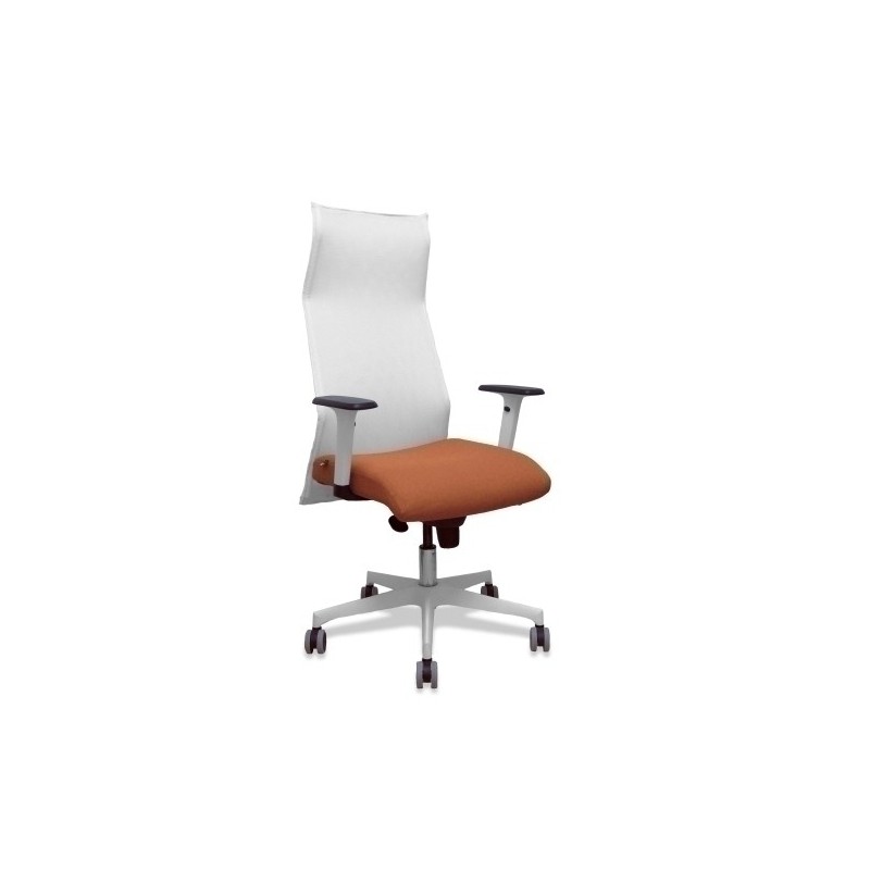 13SM10B363B354BR65G-SILLON PIQUERAS SAHUCO DIREC. B.MARRON precio por 1 unidades