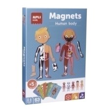 18531-JUEGO MAGNETICO APLI CUERPO HUMANO 63 PZ precio por 1 unidades