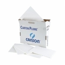 C205154408-CARTON PLUMA...