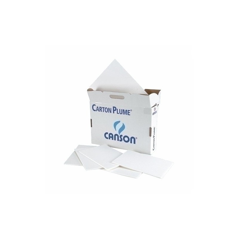 C205154410-CARTON PLUMA CANSON BLANCO  5 mm 100x140 precio por 24 unidades