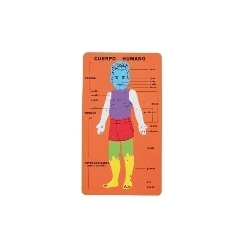 5024/68002800-GOMA EVA FIXO PUZZLE 20x32 CUERPO HUMANO precio por 1 unidades