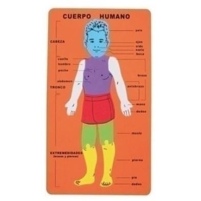 5024/68002800-GOMA EVA FIXO PUZZLE 20x32 CUERPO HUMANO precio por 1 unidades