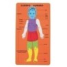 5024/68002800-GOMA EVA FIXO PUZZLE 20x32 CUERPO HUMANO precio por 1 unidades