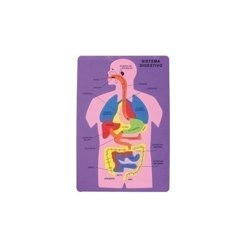 5025/68002900-GOMA EVA FIXO PUZZLE 26x36 SISTEMA DIGES precio por 1 unidades