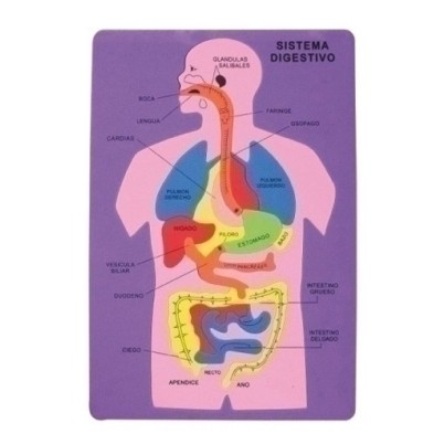 5025/68002900-GOMA EVA FIXO PUZZLE 26x36 SISTEMA DIGES precio por 1 unidades