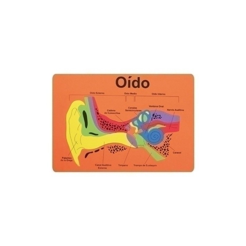 5026/68003000-GOMA EVA FIXO PUZZLE 26x36 SISTEMA AUDIT precio por 1 unidades