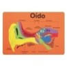 5026/68003000-GOMA EVA FIXO PUZZLE 26x36 SISTEMA AUDIT precio por 1 unidades