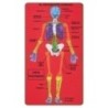 5031/68003500-GOMA EVA FIXO PUZZLE 15x28 ESQUELETO HUM precio por 1 unidades