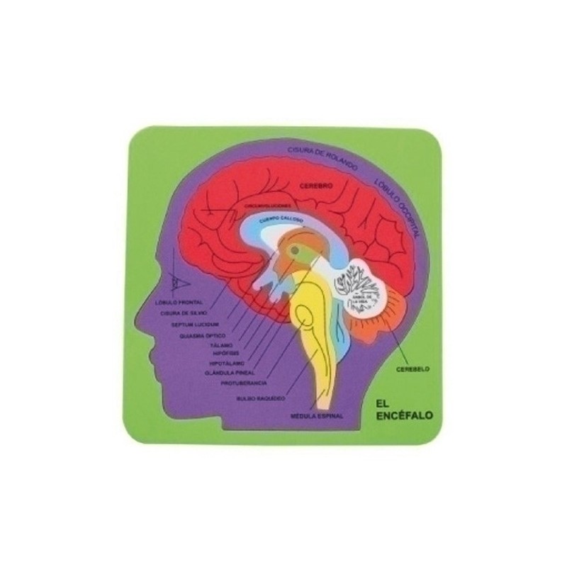 5032/68003600-GOMA EVA FIXO PUZZLE 21x21 SISTEMA CEREB precio por 1 unidades