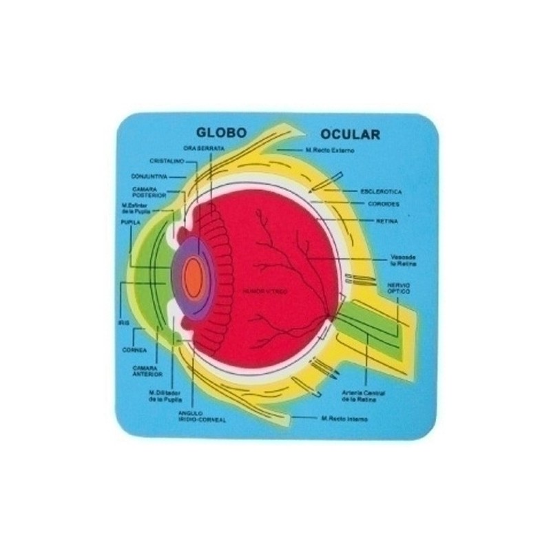 5033/68003700-GOMA EVA FIXO PUZZLE 21x21 SISTEMA OCULA precio por 1 unidades