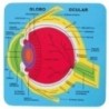 5033/68003700-GOMA EVA FIXO PUZZLE 21x21 SISTEMA OCULA precio por 1 unidades