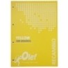 R100AMA-RECAMBIO OLEF A4 80h 4 TAL. CD.5 AMARILL precio por 5 unidades