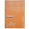 R100NAR-RECAMBIO OLEF A4 80h 4 TAL. CD.5 NARANJA precio por 5 unidades