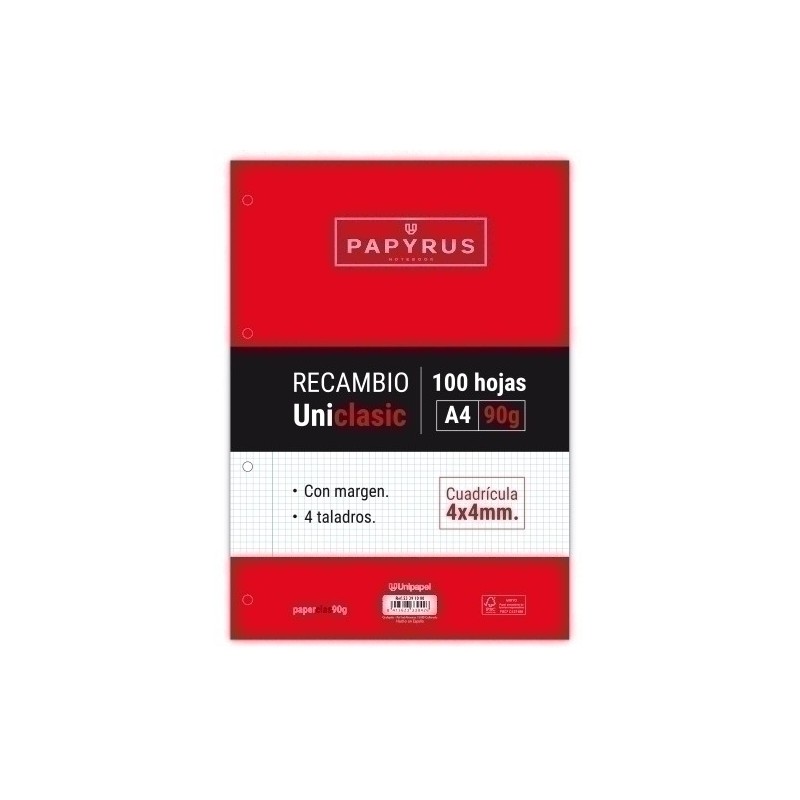 53391000-RECAMBIO PAPYRUS A4 100h 4 TAL.CD.4 C/M precio por 24 unidades