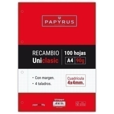 53391000-RECAMBIO PAPYRUS A4 100h 4 TAL.CD.4 C/M precio por 24 unidades