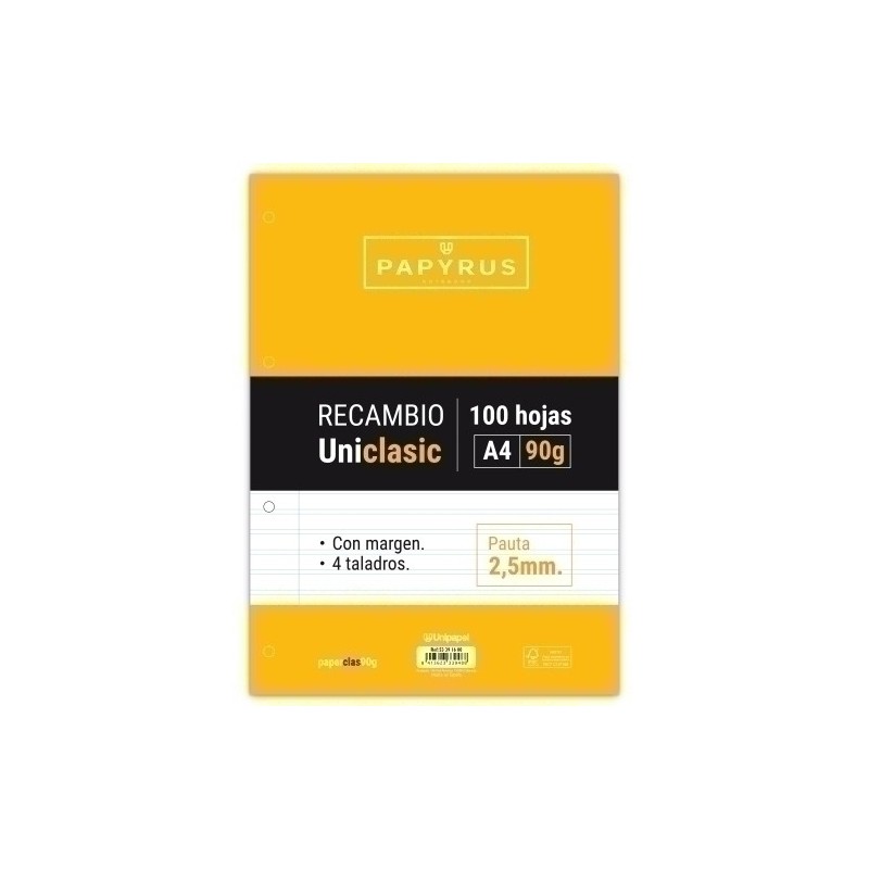 53391600-RECAMBIO PAPYRUS A4 100h 4 TAL.P2.5 C/M precio por 24 unidades
