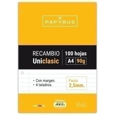 53391600-RECAMBIO PAPYRUS A4 100h 4 TAL.P2.5 C/M precio por 24 unidades