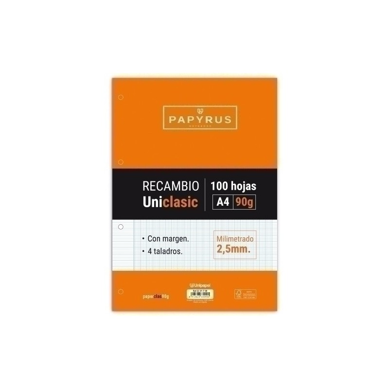 53391700-RECAMBIO PAPYRUS A4 100h 4 TAL.MM C/M precio por 24 unidades