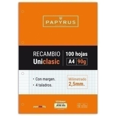 53391700-RECAMBIO PAPYRUS A4 100h 4 TAL.MM C/M precio por 24 unidades