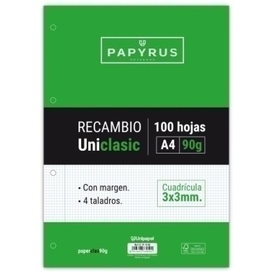 53391800-RECAMBIO PAPYRUS A4 100h 4 TAL.CD.3 C/M precio por 24 unidades