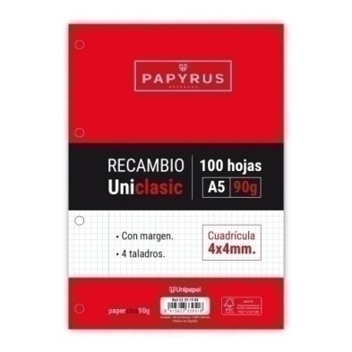 53391900-RECAMBIO PAPYRUS A5 100h 4 TAL.CD.4 C/M precio por 48 unidades
