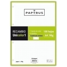 53392221-RECAMBIO PAPYRUS...