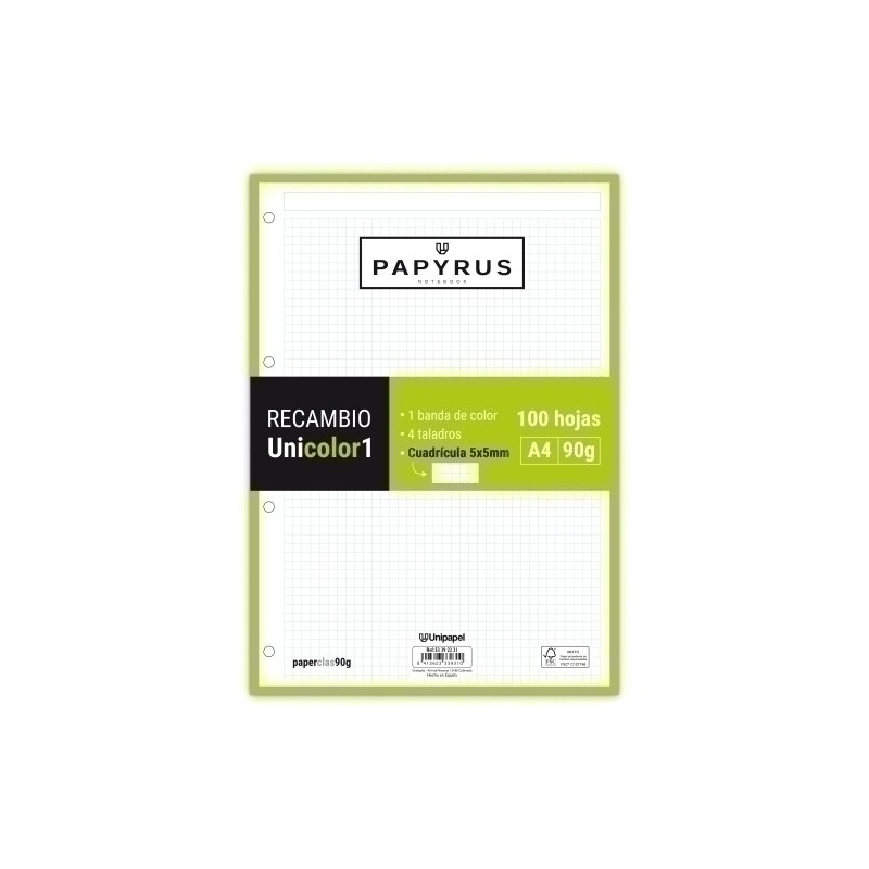 53392221-RECAMBIO PAPYRUS A4 100h 4 TAL.CD.5 LIM precio por 24 unidades