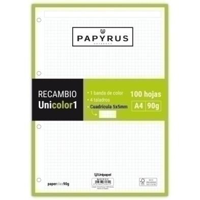 53392221-RECAMBIO PAPYRUS A4 100h 4 TAL.CD.5 LIM precio por 24 unidades