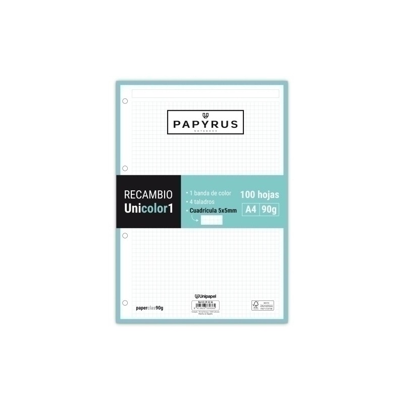 53392226-RECAMBIO PAPYRUS A4 100h 4 TAL.CD.5 MIN precio por 24 unidades