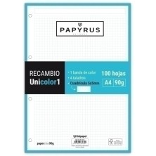 53392236-RECAMBIO PAPYRUS...