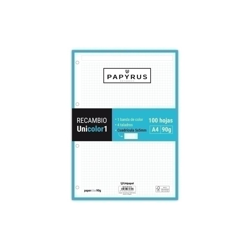 53392236-RECAMBIO PAPYRUS A4 100h 4 TAL.CD.5 TUR precio por 24 unidades