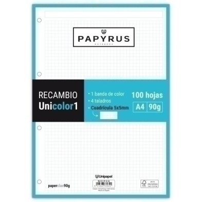 53392236-RECAMBIO PAPYRUS A4 100h 4 TAL.CD.5 TUR precio por 24 unidades