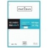 53392236-RECAMBIO PAPYRUS A4 100h 4 TAL.CD.5 TUR precio por 24 unidades
