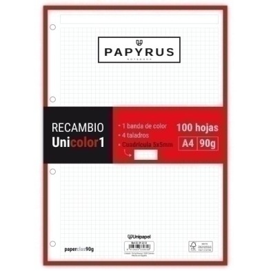 53392251-RECAMBIO PAPYRUS A4 100h 4 TAL.CD.5 ROJ precio por 24 unidades