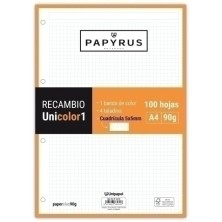 53392252-RECAMBIO PAPYRUS...