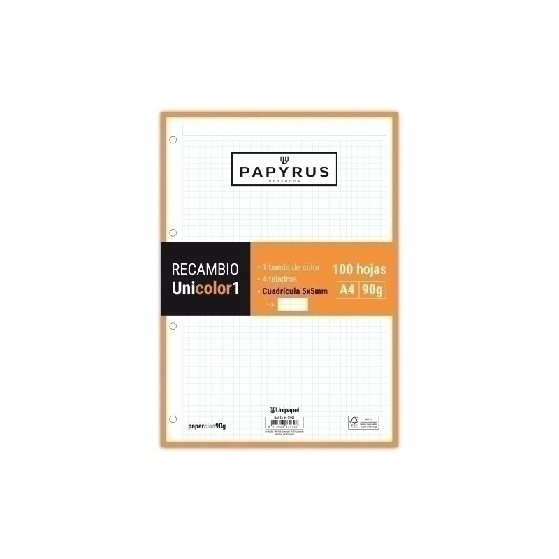 53392252-RECAMBIO PAPYRUS A4 100h 4 TAL.CD.5 NAR precio por 24 unidades
