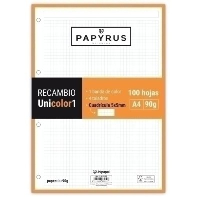 53392252-RECAMBIO PAPYRUS A4 100h 4 TAL.CD.5 NAR precio por 24 unidades