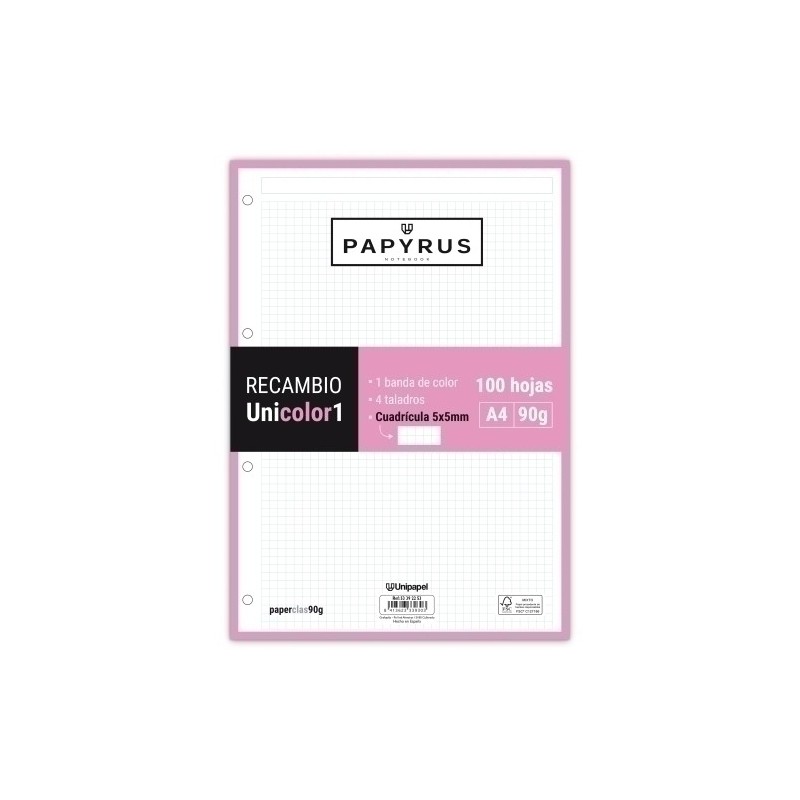 53392253-RECAMBIO PAPYRUS A4 100h 4 TAL.CD.5 ROS precio por 24 unidades