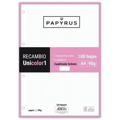 53392253-RECAMBIO PAPYRUS A4 100h 4 TAL.CD.5 ROS precio por 24 unidades