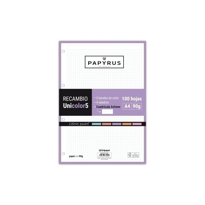53392398-RECAMBIO PAPYRUS A4 100h 4 TAL.CD.5 PAS precio por 24 unidades