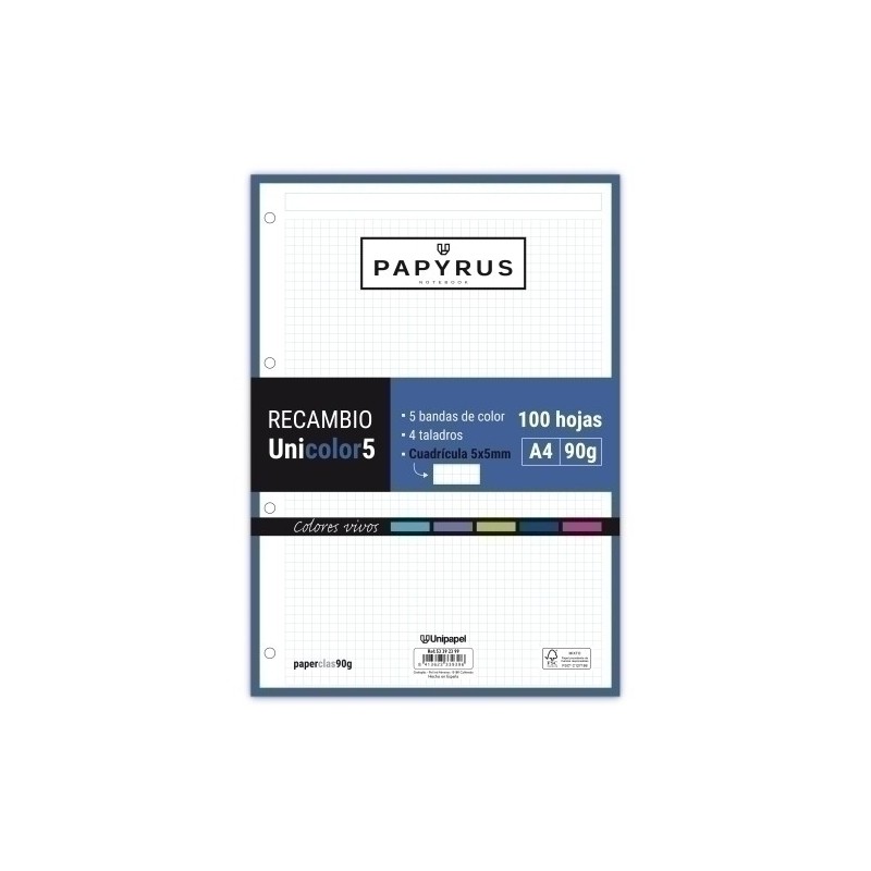53392399-RECAMBIO PAPYRUS A4 100h 4 TAL.CD.5 VIV precio por 24 unidades