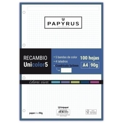 53392399-RECAMBIO PAPYRUS A4 100h 4 TAL.CD.5 VIV precio por 24 unidades