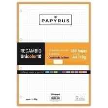 53392499-RECAMBIO PAPYRUS...
